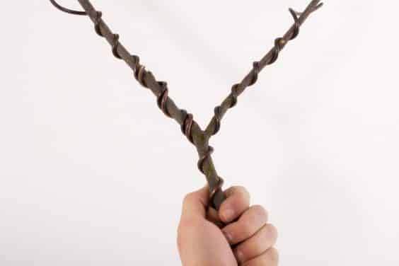 从下面看到的同一分支