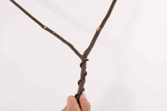 锚线停止在分支交叉点附近