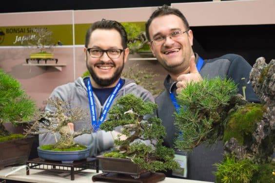 请欣赏日本小品盆景树