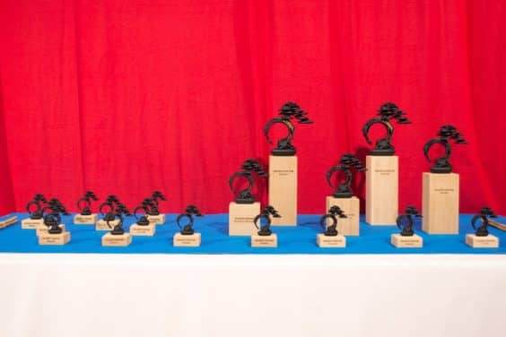 Noelanders盆景奖的奖杯