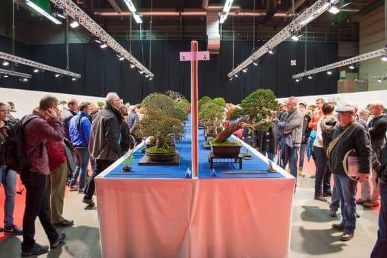 2017年Noelanders盆景展的参观者