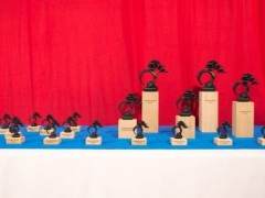 比利时亨克市举办了第十八届Noelanders盆景展