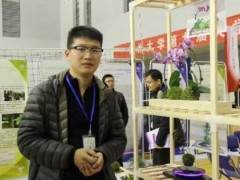 大学生卖微型盆景 月赚1万元