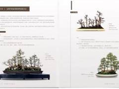 盆景著作《盆中有乾坤》的读后感