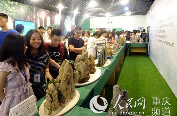 重庆职业学院举办园林专业《盆景制作》课程