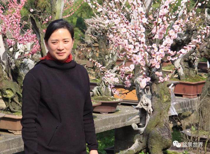浙江台州盆景艺术家--陈文君