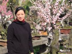 浙江台州盆景艺术家陈文君