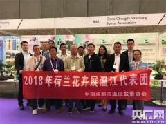 成都盆景亮相荷兰 川派盆景吸睛力十足