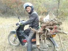 记侯明刚先生的盆景历程