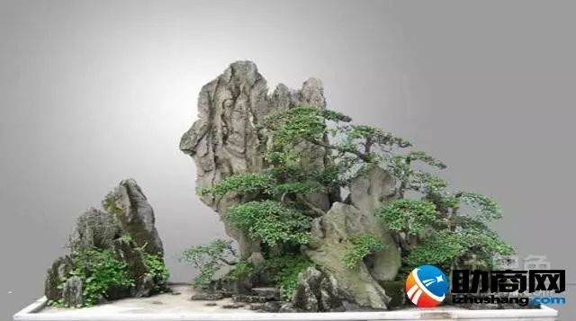 假山盆景制作养护的3个方法