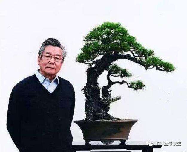 盆景大师：胡乐国之盆景人生