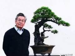 盆景大师胡乐国之盆景人生