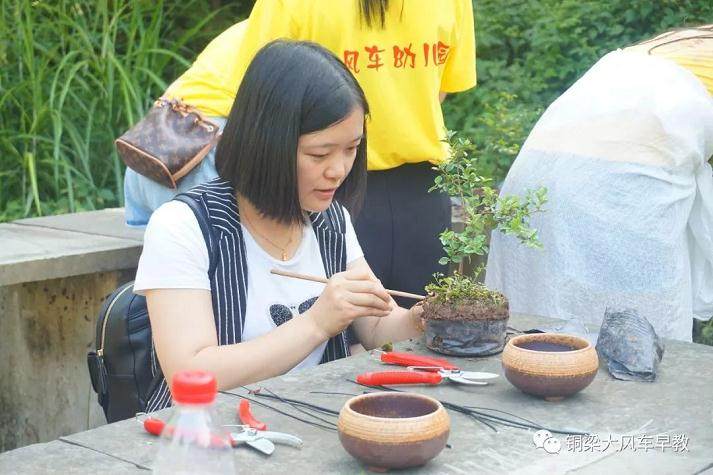 大风车早教机构盆景课程培训!