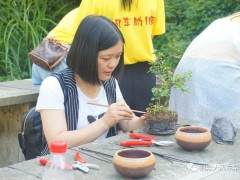 大风车早教机构盆景课程培训