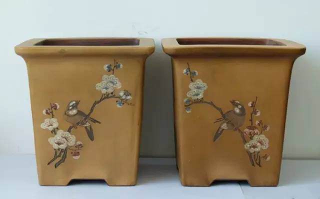 你的盆景不好看?那是没选对盆!