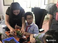 盆景作文专栏第33期