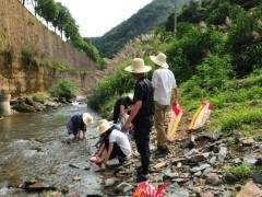 青年学友会举行盆景创意制作比赛活动