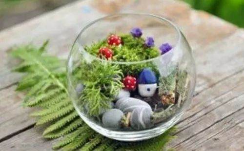 自己动手制作石栽盆景的方法