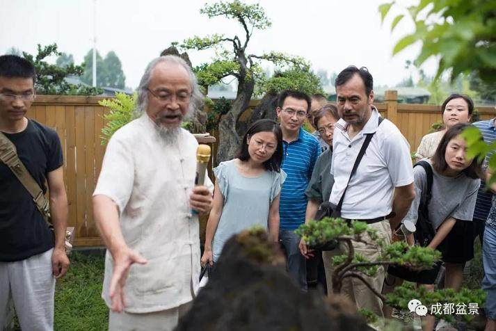  川派盆景公益大讲堂第二期