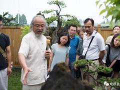 川派盆景公益大讲堂第二期