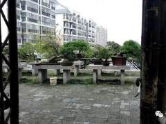 湖北咸宁有这样一个漂亮的盆景园
