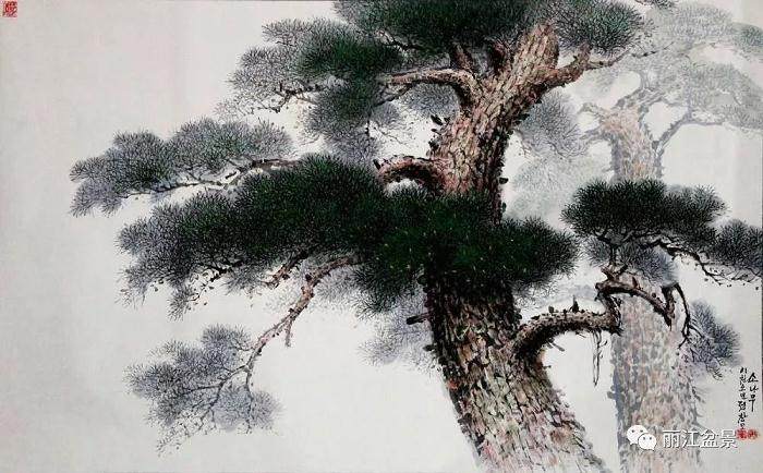 关于组织参加第八届云南盆景艺术展的通知