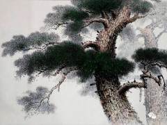 关于组织参加第八届云南省盆景艺术展的通知