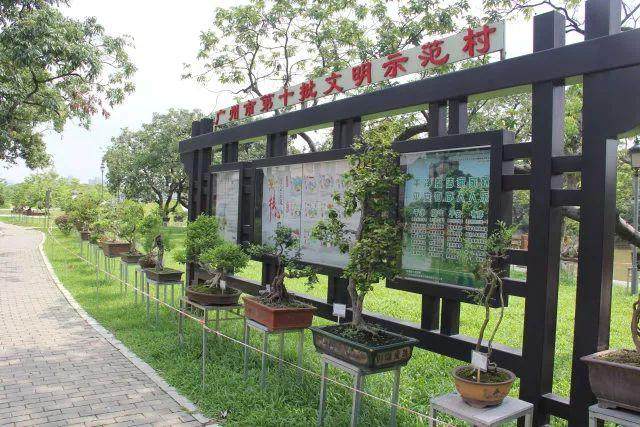 新塘瓜岭村举行书画盆景作品展