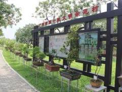 新塘瓜岭村举行书画盆景作品展