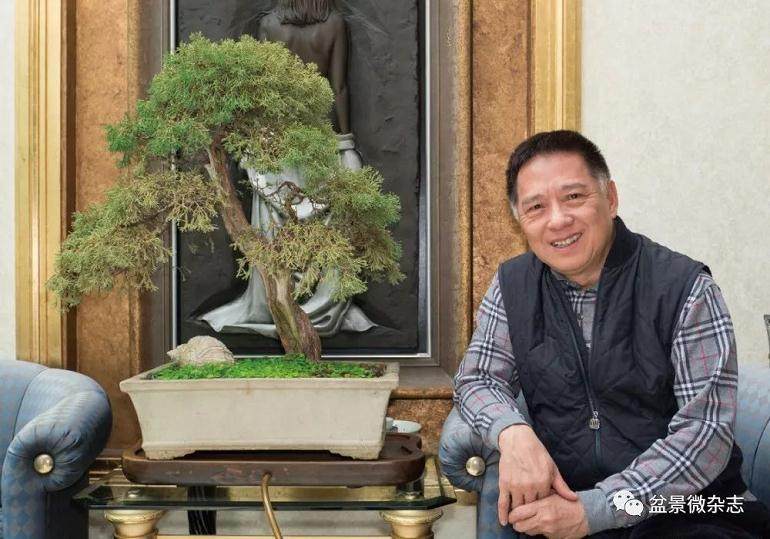 香港盆景藏家黄经国论盆景