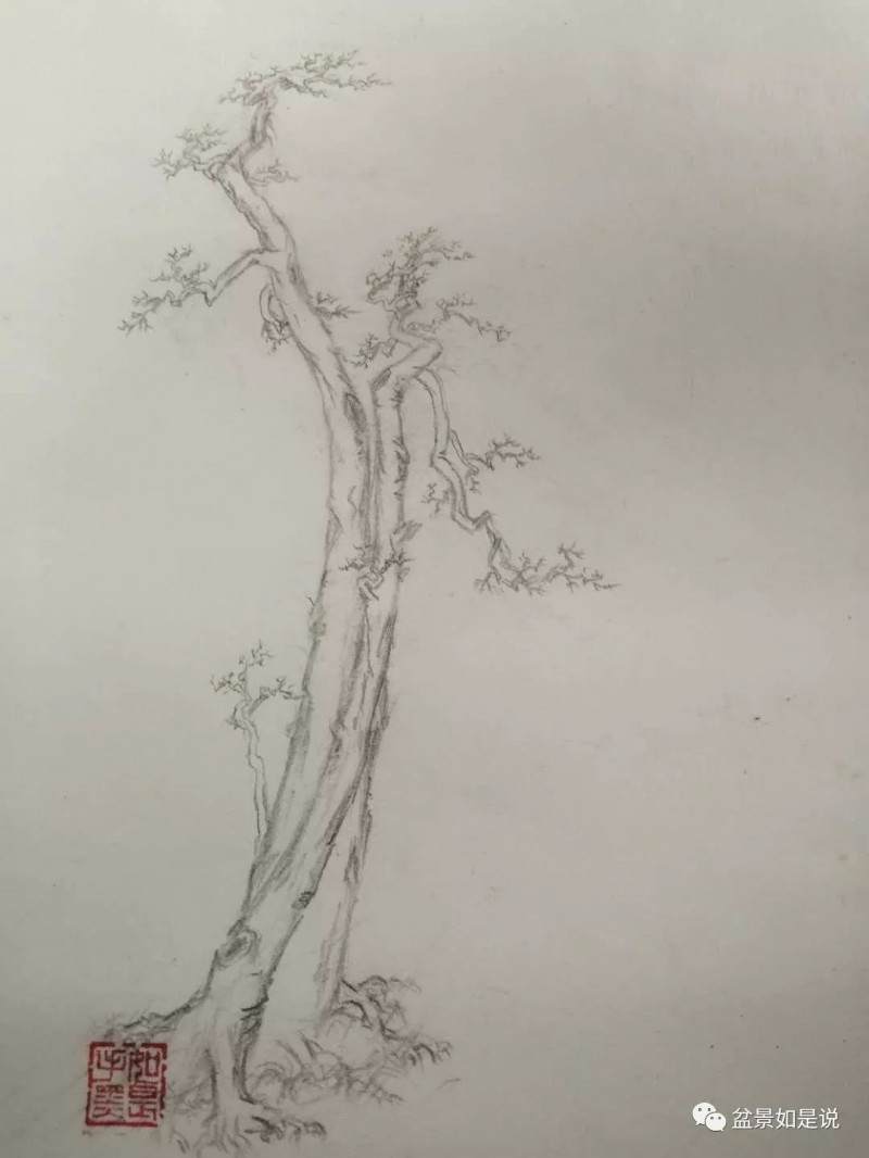 盆景设计构思——虚实