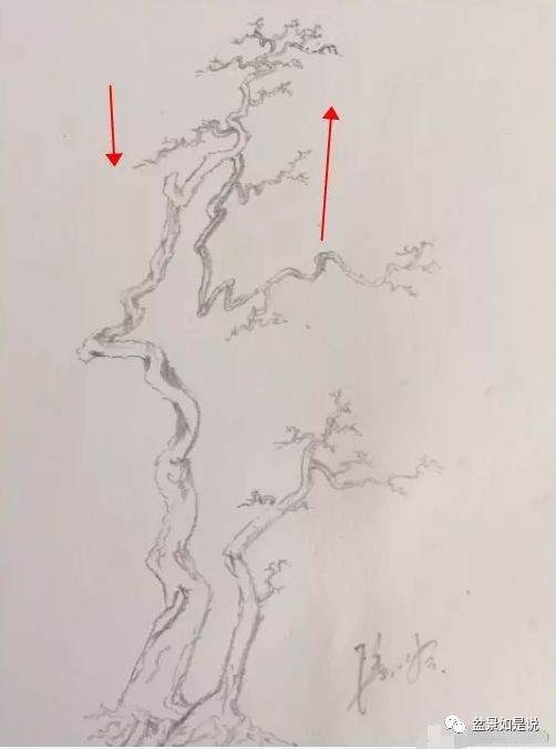 盆景设计构思 虚实