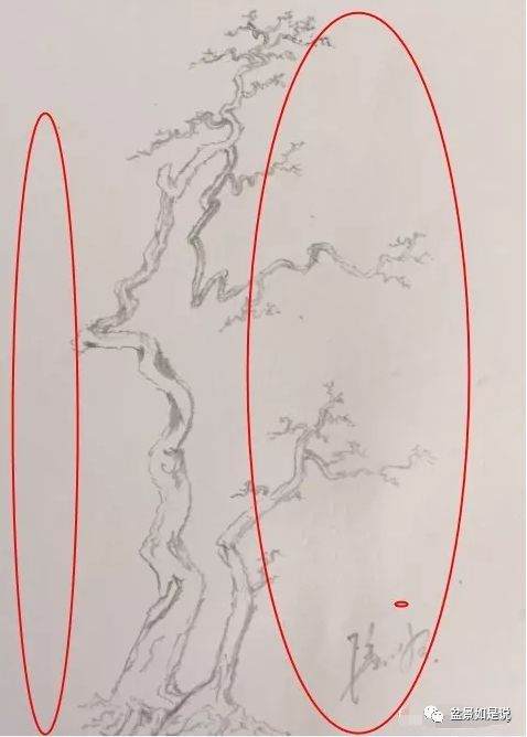 盆景设计构思 虚实