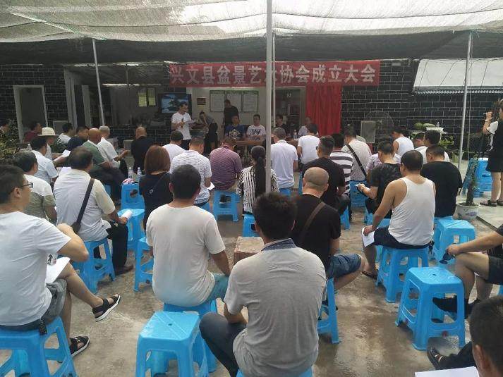 兴文一盆景价值几十万！今天，100余人聚集在莲花