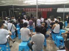 兴文一盆景价值几十万今天 100余人聚集在莲花