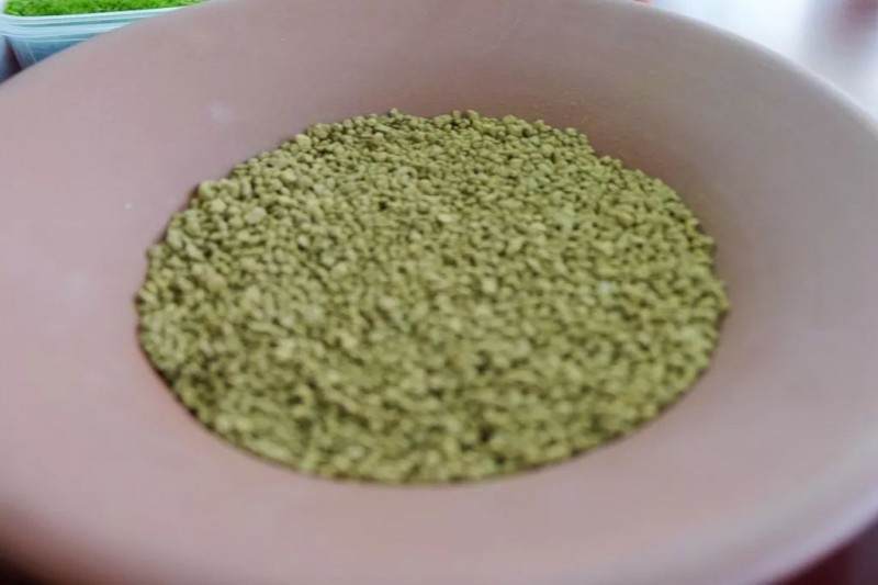 炎炎夏日 来做一盆清新别致的文竹盆景