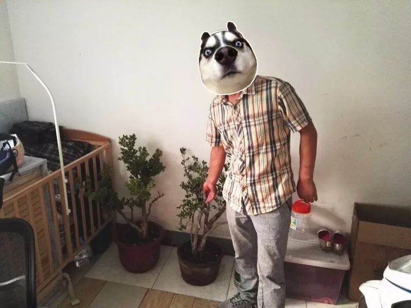 凌晨小区惊现贼人偷盆景