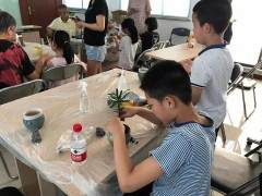 我来陪你过暑假-做廉洁盆景