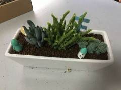 萌宠多肉怎么打造时尚微型盆景