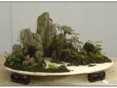 山水盆景的诗情画意