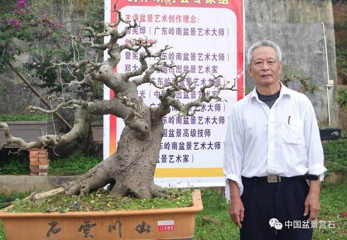 岭南盆景艺术大师详解如何确定盆景主观赏面