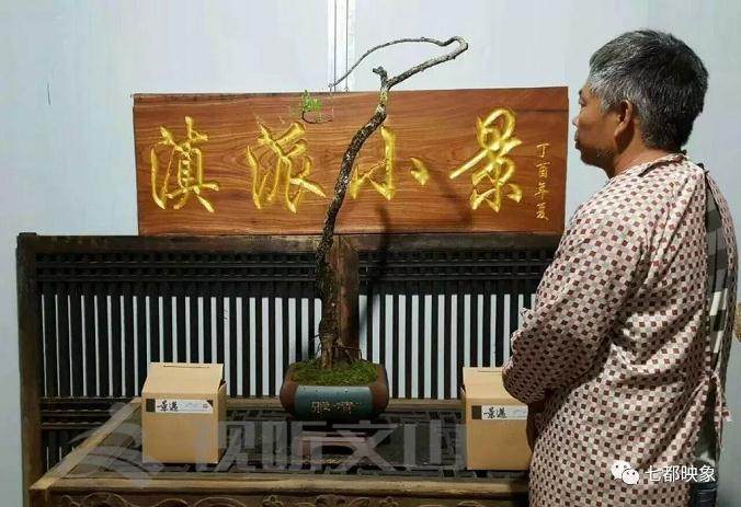 文山盆景流派 - 滇派小景