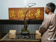 文山盆景流派 - 滇派小景