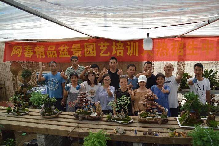 阿春精品盆景园艺第二期培训课开始招生了!
