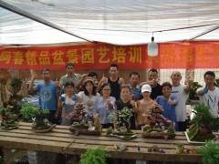 阿春精品盆景园艺第二期培训课开始招生了