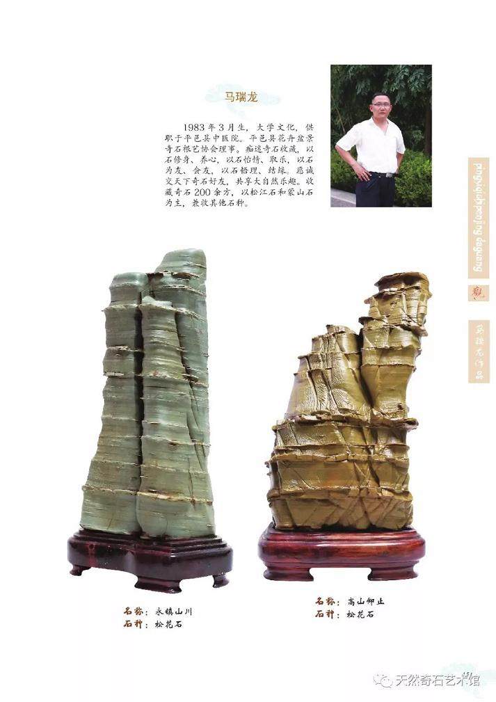 《平邑奇石盆景大观》大型画册—马瑞龙作品集