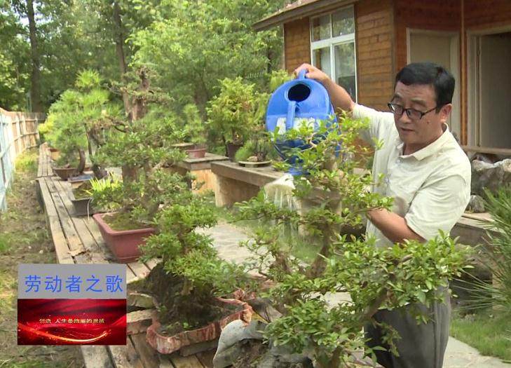 把丹江口打造成浓缩的盆景