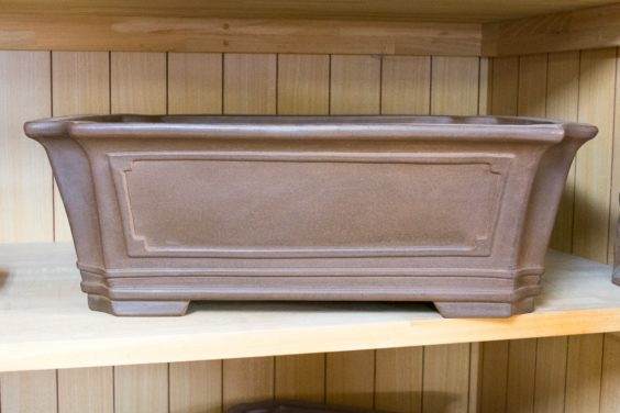 参观Gyouzan先生的盆景盆子