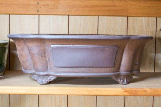 参观Gyouzan先生的盆景盆子