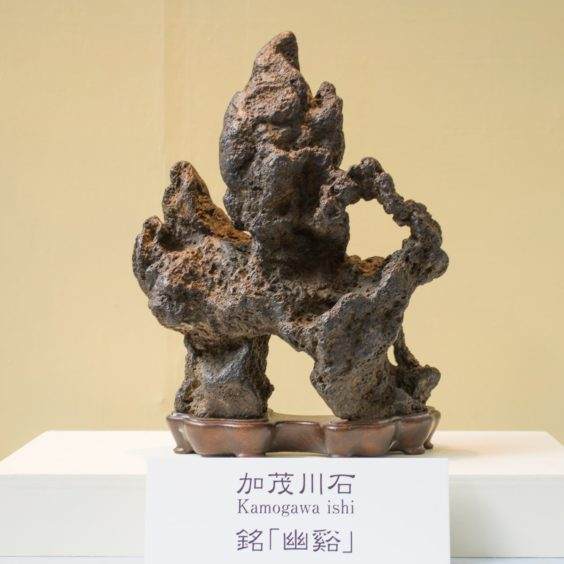 在世界盆景大会上选出日本100强的雅石